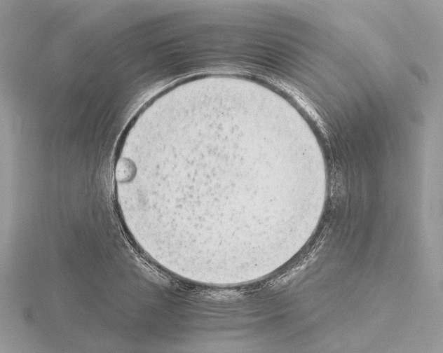 X0000115040837200912071107