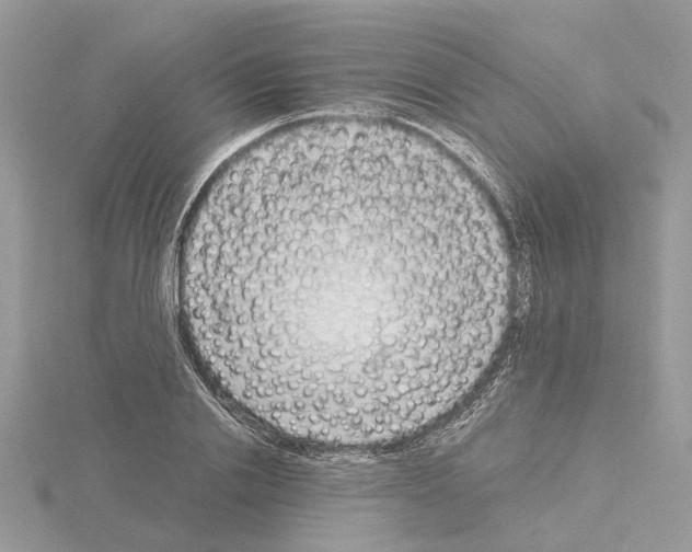 X0000115040838200912071108