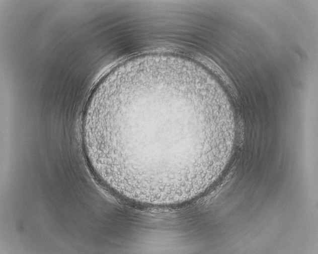 X0000115040842200912071108