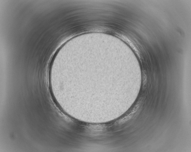 X0000115040843200912071108