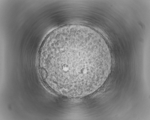 X0000115040848200912071108