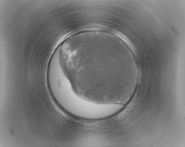 X0000115040850200912071108