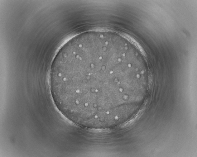 X0000115040855200912071108