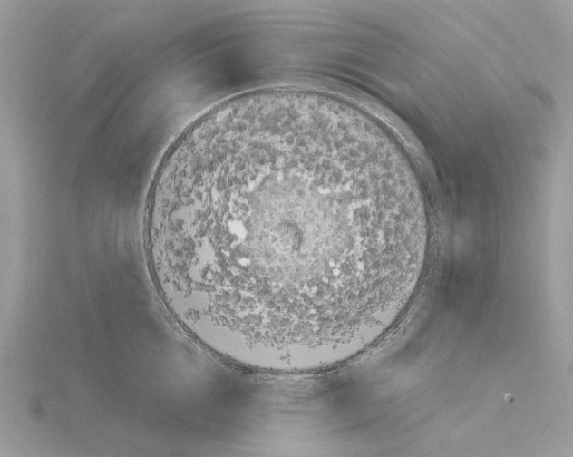 X0000115040856200912071108