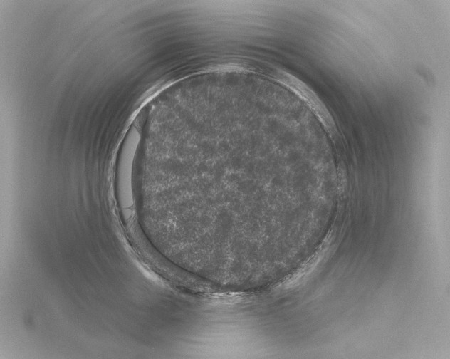 X0000115040858200912071108