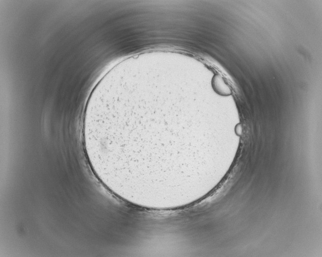 X0000115040860200912071108