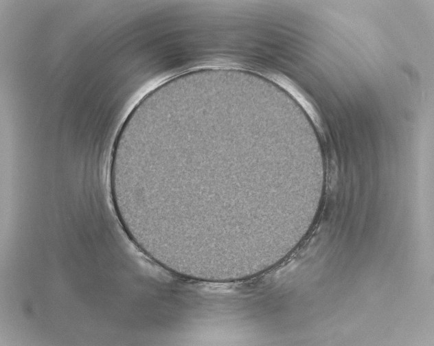 X0000115040861200912071108