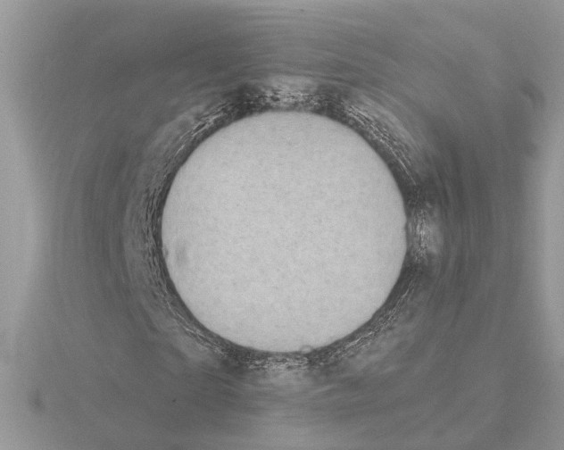 X0000115040865200912071107