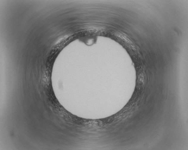 X0000115040869200912071107