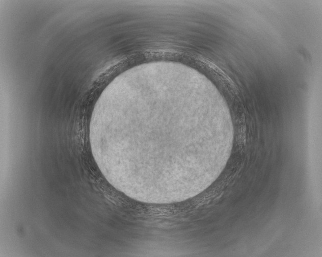 X0000115040870200912071107