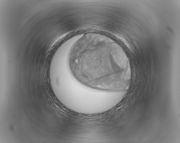 X0000115040872200912071107