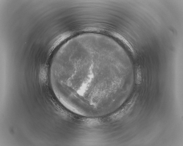 X0000115040874200912071107