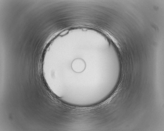 X0000115040877200912071107