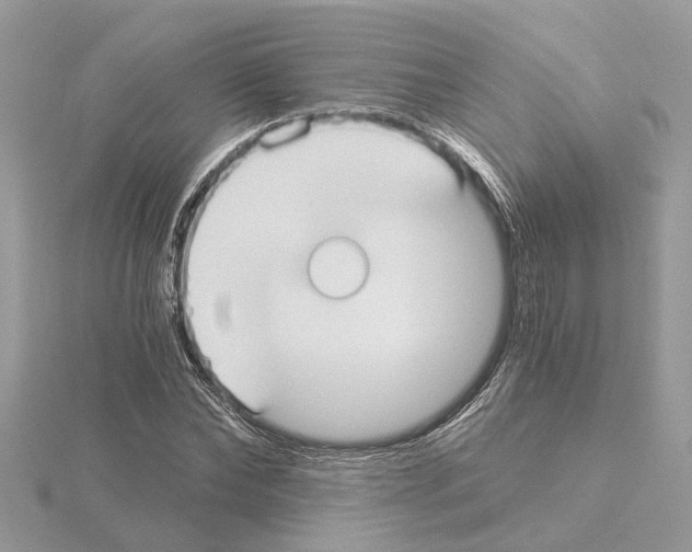 X0000115040878200912071107