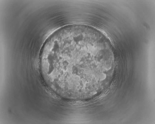 X0000115040879200912071107