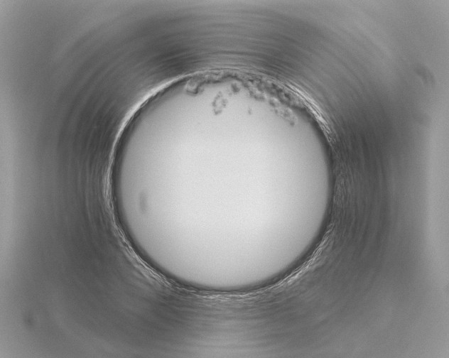 X0000115040880200912071107