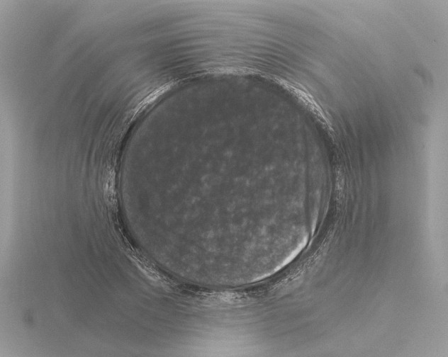 X0000115040881200912071107