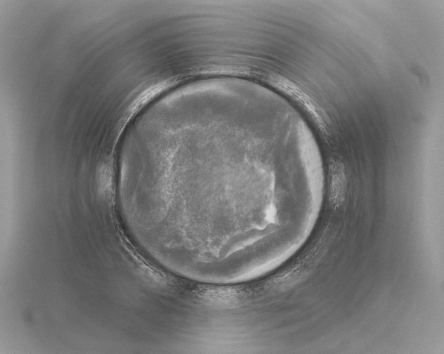 X0000115040882200912071107