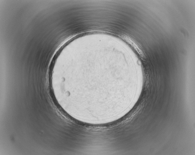 X0000115040884200912071107