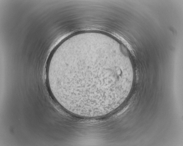 X0000115040885200912071107