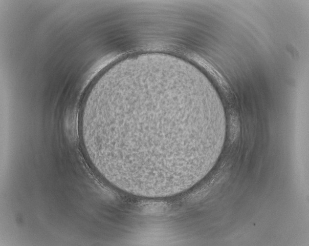 X0000115040886200912071107