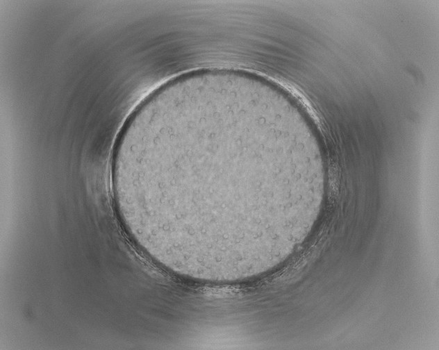 X0000115040887200912071107