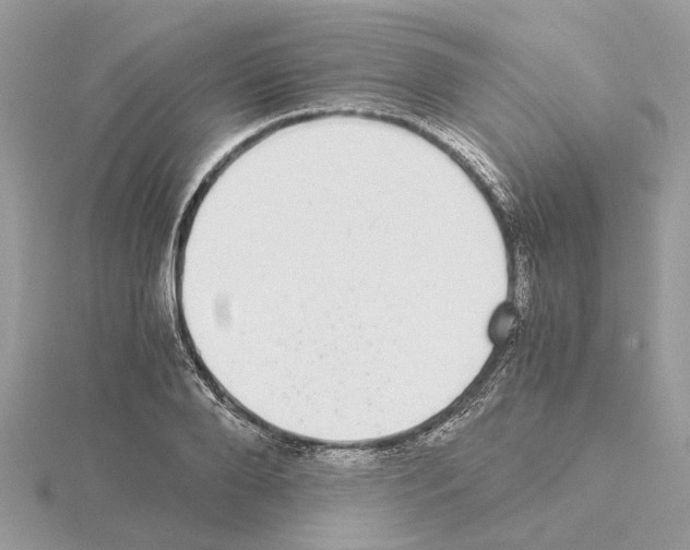 X0000115040888200912071107