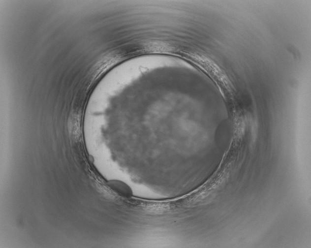 X0000115040889200912071107