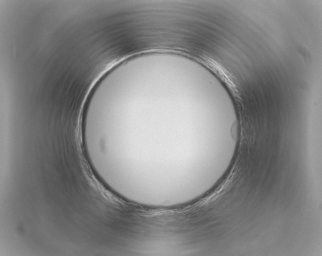 X0000115040892200912071107