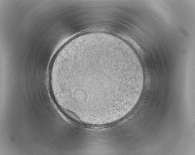 X0000115040894200912071107