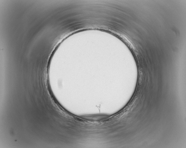 X0000115040895200912071107