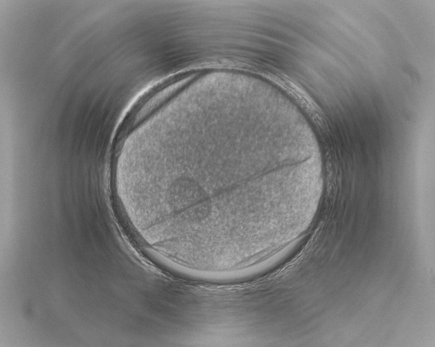 X0000115040896200912071107