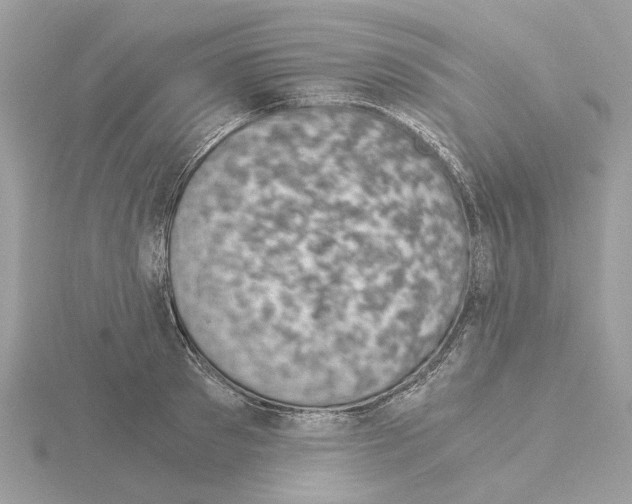 X0000115040897200912071107