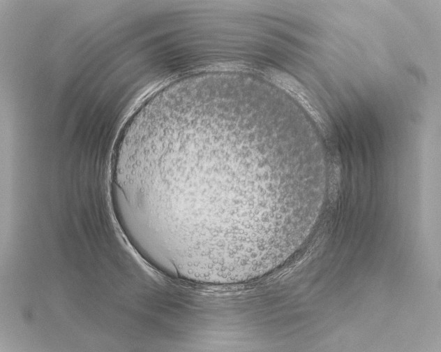 X0000115040898200912071107