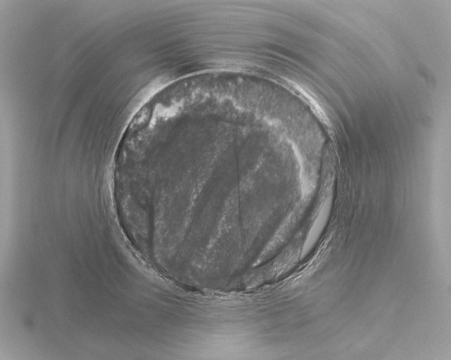 X0000115040899200912071107