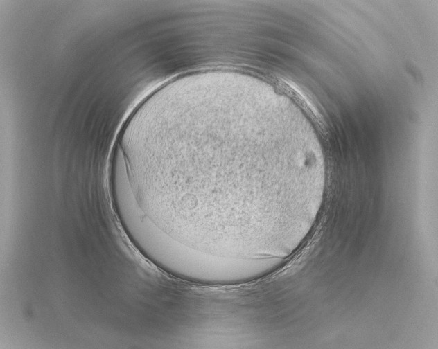 X0000115040900200912071107