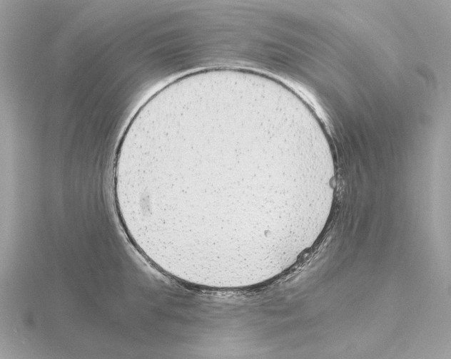 X0000115040903200912071107