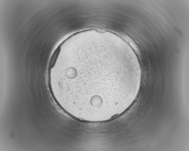 X0000115040904200912071107