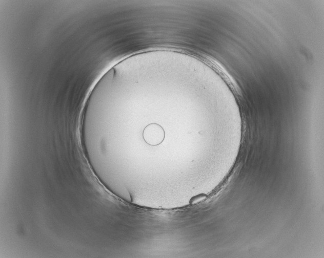 X0000115040908200912071107