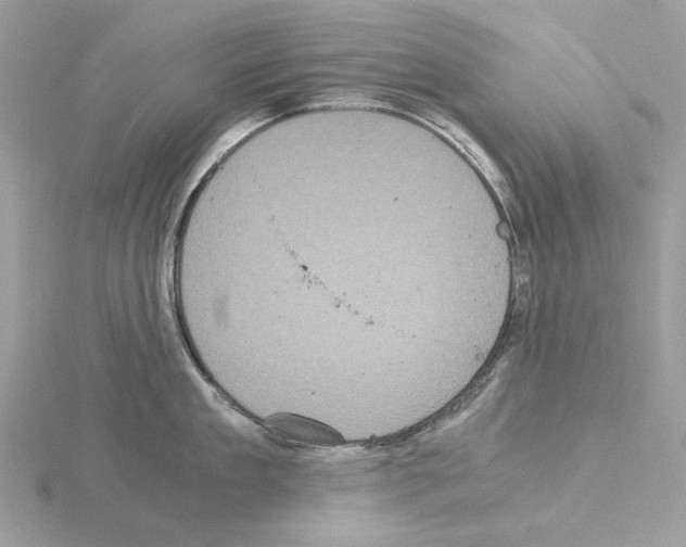 X0000115040909200912071107