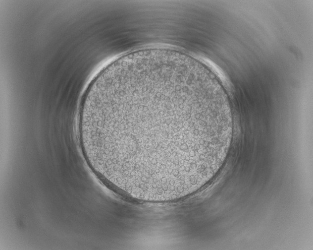 X0000115040910200912071107