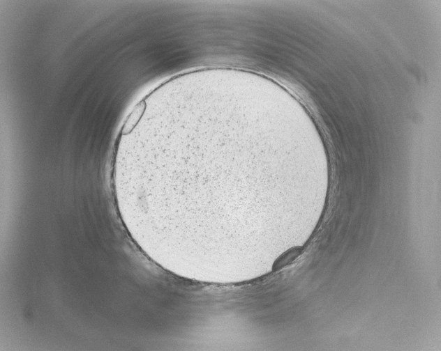 X0000115040912200912071107