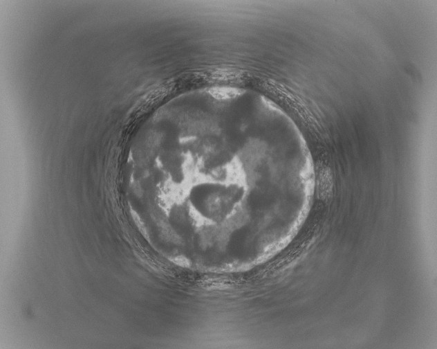 X0000115040913200912071106