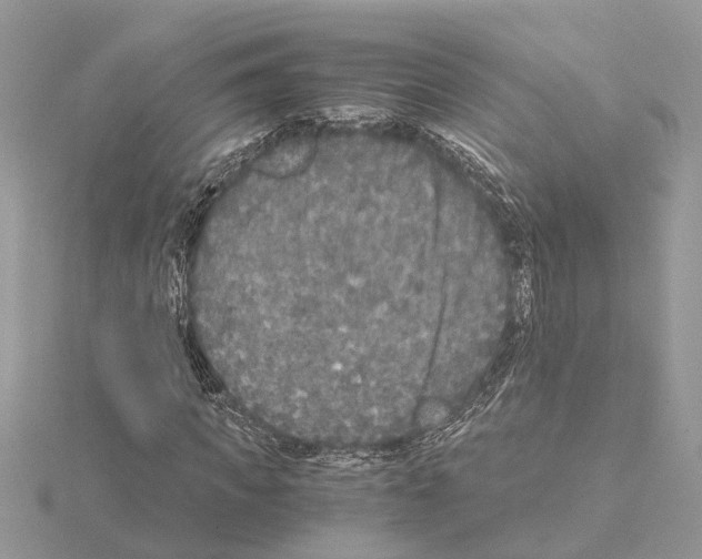 X0000115040917200912071106