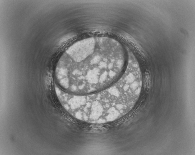 X0000115040918200912071106