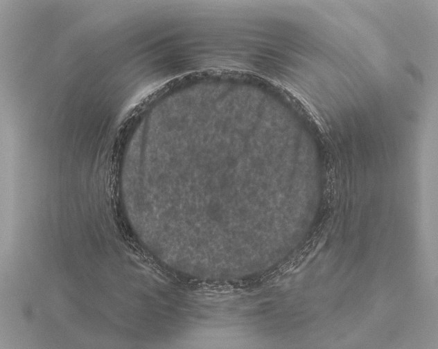 X0000115040919200912071106