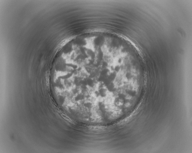 X0000115040921200912071106