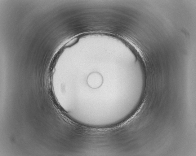 X0000115040925200912071106