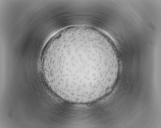 X0000115040927200912071106