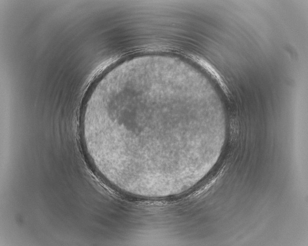 X0000115040930200912071106